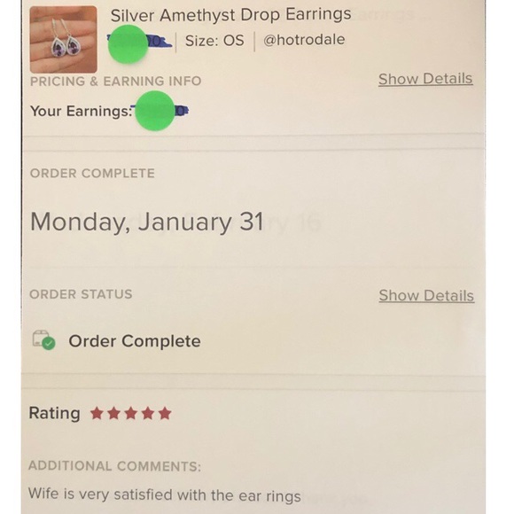 ❗️LAST ONE❗️Silver Amethyst Drop Earrings - Picture 4 of 4